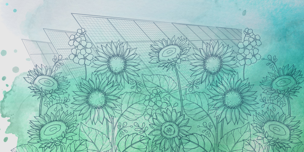Flamingo Flowers Case study