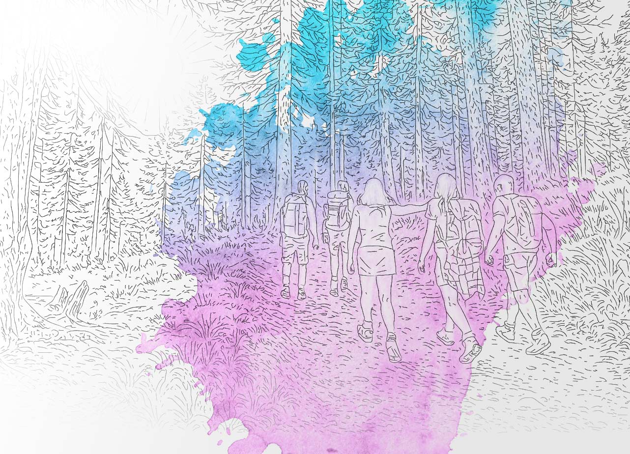 New forest hot topic