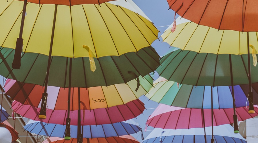 Building a Company Everyone Loves Building a Company Everyone Loves