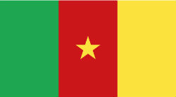 Cameroon flag Cameroon flag