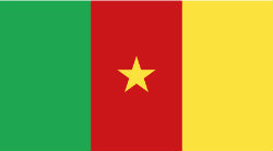 Cameroon flag