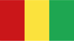 Guinea flag Guinea flag