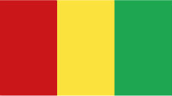 Guinea flag