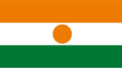 Niger flag