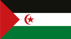 Western Sahara flag Western Sahara flag