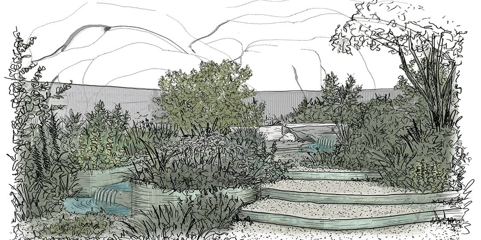 RHS Chelsea Flower Show - Garden Sketch 2026
