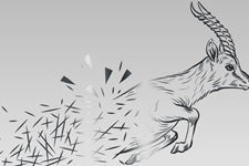 Restructuring - Gazelle - Insolvency Claims Restructuring - Gazelle - Insolvency Claims