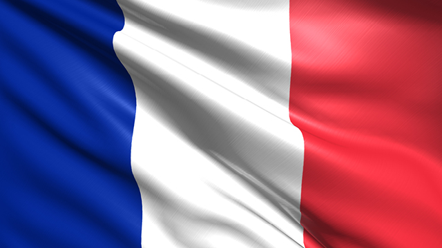 French Flag Image